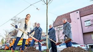 Brigitte Preuß, Dirk Thürnau,  Volker Schirner und  Manfred Boschatzke beim Pflanzen. Foto: Thomas Niedermueller