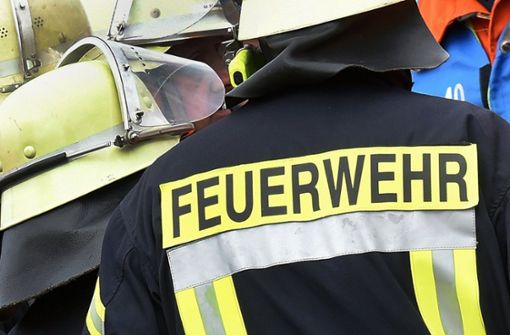 Die Freiwillige Feuerwehr war in Besigheim wegen eines Hausbrandes im Einsatz. Foto: dpa/Holger Hollemann