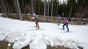 Der Wintersport steht vor einer schwierigen Zukunft. Foto: Hendrik Schmidt/dpa