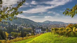 Ausblick vom Weinberg: Das Freiburger Münster im Herbst. Foto: imago images//Giacomo Lenci