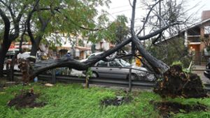 In Buenos Aires und Umgebung stürzten Bäume und Straßenschilder um, ganze Straßenzüge waren überschwemmt. Foto: dpa