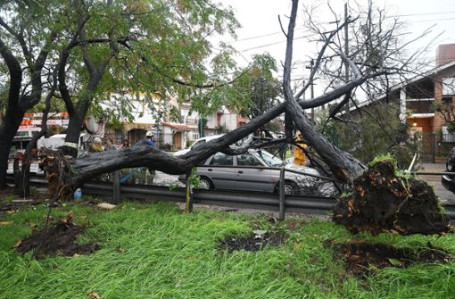 In Buenos Aires und Umgebung stürzten Bäume und Straßenschilder um, ganze Straßenzüge waren überschwemmt. Foto: dpa