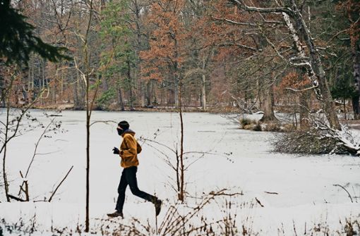 Joggen am See   ja, Eislaufen auf dem See nein:  An den Wildparkseen ist das Betreten der  Eisfläche  verboten – auch wenn das Eis täglich dicker wird. Foto: Lichtgut/Leif Piechowski
