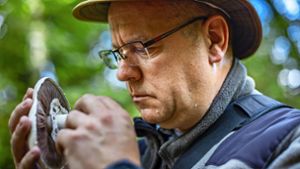 Pilzsammler Stefan Lindner ist im Wald in seinem Element. Foto: KS-Images.de / Karsten Schmalz