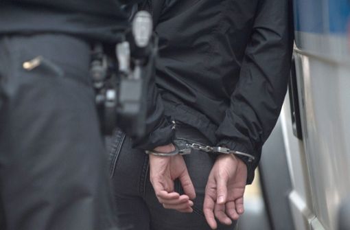 Die Polizei hat einen 34-Jährigen in Kornwestheim festgenommen, weil er randaliert hatte (Symbolbild). Foto: dpa