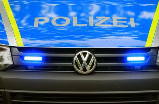 Ein Wagen der Polizei (Symbolfoto). Foto: dpa/Jens Wolf