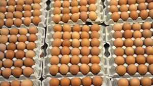 In Millionen von Eiern aus den Niederlanden wurde ein Insektizid gefunden. Wie gefährlich ist das für den Verbraucher? (Symbolfoto) Foto: dpa