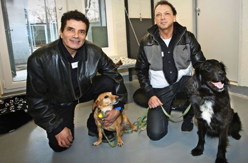Der Vorsitzende des Tierheimvereins David Koch (links) und der Tierheimleiter Horst Theilinger freuen sich gemeinsam mit den Hunden Tina und Nero. Foto: Ines Rudel