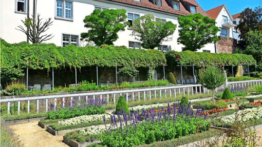 Der Pomeranzengarten gehört zum  Pflichtprogramm bei den  Führungen durch die Altstadt. Foto: Stadt Leonberg