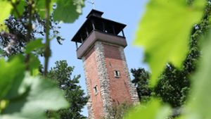 Schöne Aussicht garantiert: der Burgholzhofturm Foto: Lichtgut