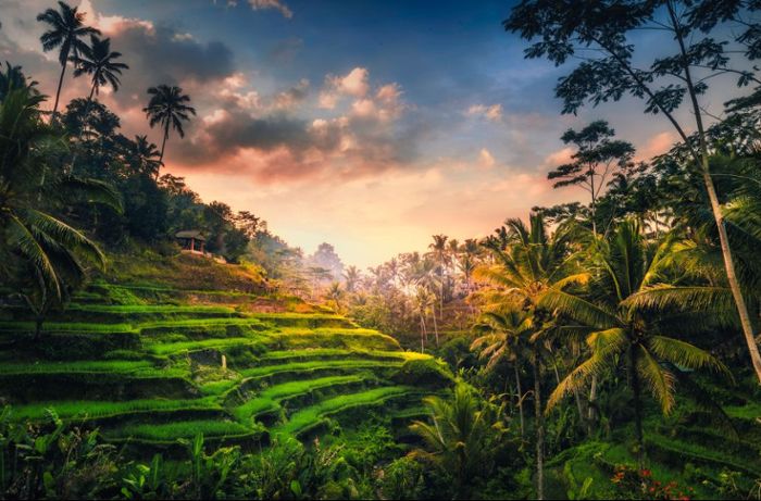 Bali ist ein absolutes Traumreiseziel. Wunderschöne Strände, beeindruckende Landschaften, pompöse Tempel und tropische Temperaturen.