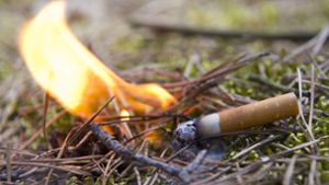 Eine glimmende Zigarettenkippe ist eine häufige Ursache für Waldbrände. Foto: dpa