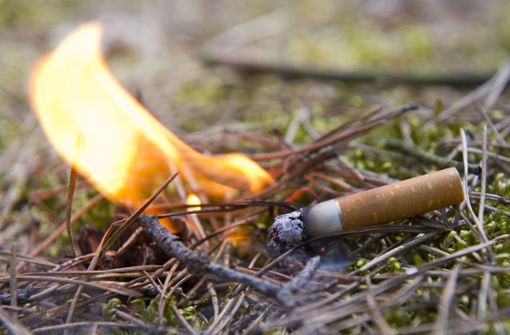 Eine glimmende Zigarettenkippe ist eine häufige Ursache für Waldbrände. Foto: dpa