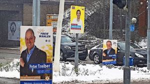 Liberale Wahlplakate im Schneetreiben: Wer schafft es denn in den Stuttgarter Landtag –  Peter Treiber aus Fellbach oder Julia Goll aus Waiblingen? Foto: Dirk Herrmann