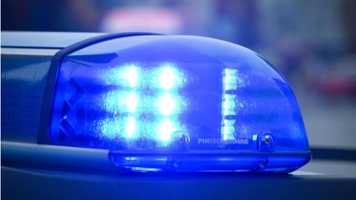 Die Polizei hat sieben Tatverdächtige identifiziert, die  an Angriffen auf mehrere Männer am Sonntagabend in Neuhausen beteiligt gewesen sein sollen. Foto: dpa/Patrick Pleul