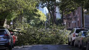 In den USA waren am Mittwoch Millionen Menschen  ohne Strom, weil umgestürzte Bäume elektrische Leitungen beschädigt hatten. Foto: AFP/Michael M. Santiago