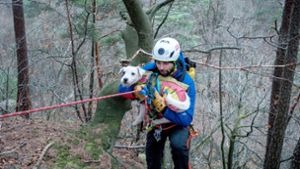 Die Bergwacht befreite den kleinen Hund aus seiner misslichen Lage. Foto: Landratsamt Rastatt
