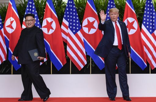 Vor den Flaggen Nordkoreas und der USA: Kim Jong Un und Donald Trump Foto: AP Pool