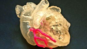 So sieht es aus, das Herz aus dem 3-D-Drucker. Foto: Lichtgut/Leif Piechowski