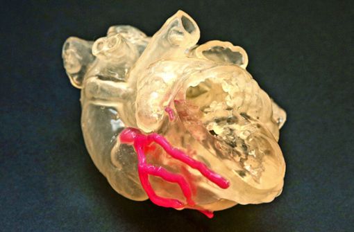 So sieht es aus, das Herz aus dem 3-D-Drucker. Foto: Lichtgut/Leif Piechowski
