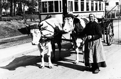 Zwei Welten treffen aufeinander:   Eine Bäuerin mit Ochsenfuhrwerk vor einem Straßenbahnwagen, aufgenommen um 1930. Foto: Reinhard Mauz
