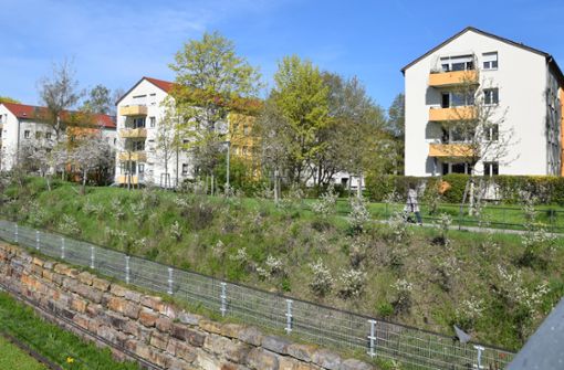Am Ehrlichweg gibt es Platz für Gärten und Bäume. Die  Anwohner fürchten, dass Neubauten den grünen Charakter des Quartiers zerstören. Foto: Alexandra Kratz