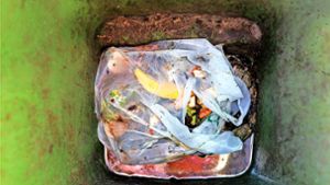 Ein Blick verrät: Hier hat jemand nicht aufgepasst. Auch kompostierbare Plastiktüten dürfen nicht in den Biomüll. Foto: /Stefanie Schlecht