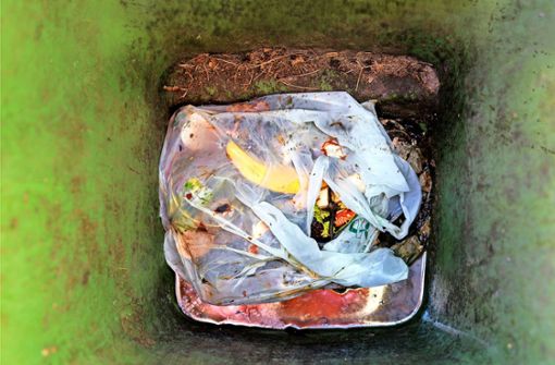 Ein Blick verrät: Hier hat jemand nicht aufgepasst. Auch kompostierbare Plastiktüten dürfen nicht in den Biomüll. Foto: /Stefanie Schlecht