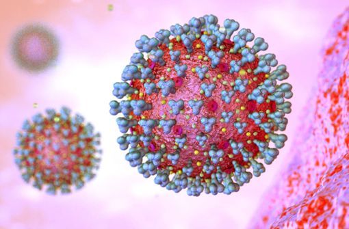 Das Coronavirus gibt es bereits in mehreren Varianten. Foto: imago images/MiS