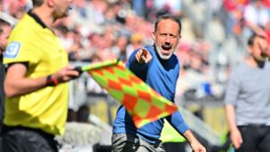 VfB-Trainer Pellegrino Matarazzo engagiert an der Seitenlinie. Foto: dpa/Torsten Silz