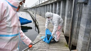 Bisher wurden am deutschen Bodenseeufer – hier in Friedrichshafen – 175 tote Vögel positiv auf die Vogelgrippe getestet. Foto: dpa