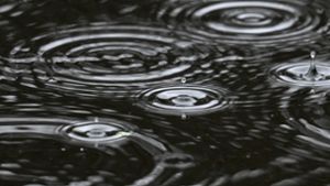 Regentropfen fallen in das Wasser des Jacobiweihers im Frankfurter Stadtwald: Könnte im Juli gewesen sein. Tatsächlich wurde das Foto am 2. Januar 2023 aufgenommen. Foto: Arne Dedert/dpa/Arne Dedert