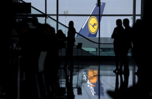 Die deutsche Fluggesellschaft Lufthansa muss mit Steuergeld gerettet werden – für die Linke Grund genug, eine Fusion mit der Bahn zu einem „Mobilitätskonzern“ ins Spiel zu bringen. Foto: dpa/Sven Hoppe