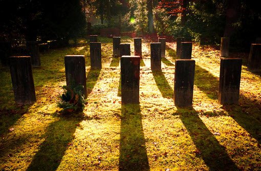 Stuttgarts größter Friedhof in Stuttgart-Degerloch wird dieses Jahr 100 Jahre alt. Gehen Sie mit auf einen Rundgang durch die grüne Ruhestätte. Foto: Leserfotograf lady_schilly