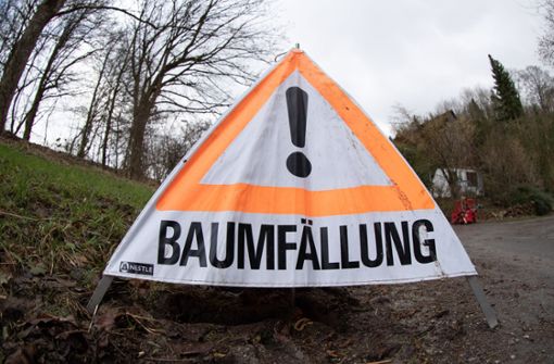 Dieses Warnschild muss im Göppinger Stadtwald am Oberholz vorläufig nicht mehr aufgestellt werden. Foto: dpa/Friso Gentsch