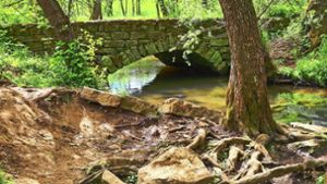 Eine idyllisch gelegene Steinbrücke im Buchenbachtal. Foto: Günther /einert