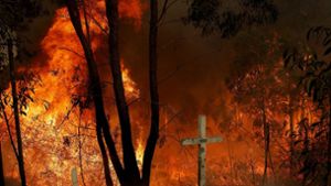 Ist das der  Weltenbrand? Verheerende Buschfeuer in Australien. In unserer Bildergalerie haben wir eine kleine Kulturgeschichte der Apokalypse zusammengestellt. Foto: dpa/Darren Pateman