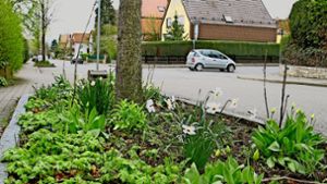 Die Bewässerung der städtischen Grünanlagen in Wohngebieten und gehört zu den kommunalen Aufgaben. Es fehlt an Personal. Foto: Sägesser, Lichtgut/Piechowski