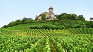 Der Weinbau im Bottwartal und unterhalb der Burg Lichtenberg hat eine lange Tradition – und prägt das Landschaftsbild. Foto: Werner Kuhnle