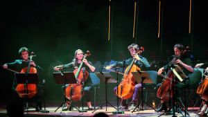 Die Cello-Akademie läuft noch bis Samstag. Foto: /Stephan Haase