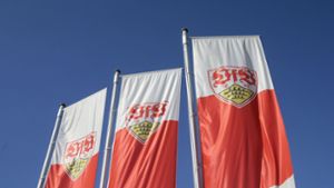 Der VfB Stuttgart steht vor einer Zerreißprobe. Foto: Pressefoto Baumann/Hansjürgen Britsch
