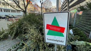 Ein gefragter Sammelplatz für Weihnachtsbäume befindet sich in der Pfarrstraße beim Bohnenviertel. Foto: Lichtgut/Leif Piechowski