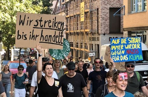 Klimaprotest in Ludwigsburg. Foto: Susanne Mathes