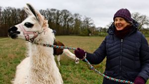 Claudia Ade besitzt zehn Lamas und Alpakas, die Jung und Alt begeistern. Sie schätzt die Neugier und Ruhe der possierlichen Tiere. Foto: Marta Popowska