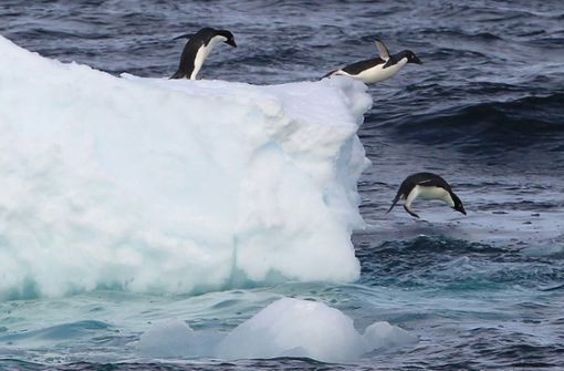 Durch den Klimawandel werden weitere Kälterekorde in der Antarktis unwahrscheinlich. Foto: Yonhap News Agency/epa