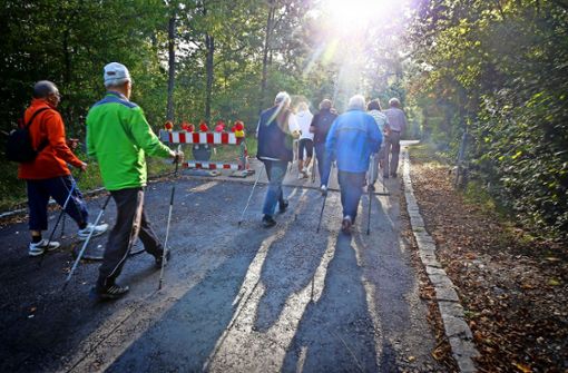 Frische Luft tanken beim Nordic Walking im Gerlinger Wald – auch das ist ein Angebot des Bürgertreffs, der in diesen Tagen 25 Jahre alt wird. Foto: factum/Granville