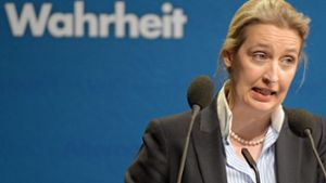 Alice Weidel ist wegen Wahlkampfspenden aus der Schweiz in Bedrängnis. Foto: dpa