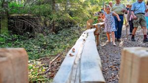 Bahnen für Holzkugeln sollen Kindern Abwechslung bieten bei ihrem Aufenthalt im Wald bei Adelberg. Foto:  