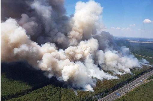 Rund um Potsdam tobt ein großer Waldbrand. Foto: Polizei Brandenburg