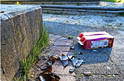 Typisches Bild im Stadtgarten: Scherben und Müll von den „Party-Gästen“ des Wochenendes an den trocken gelegten Brunnen Foto: LG/Ecker